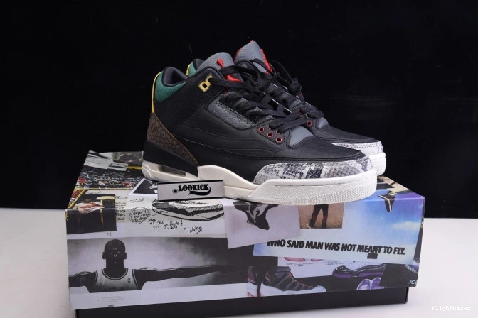 2.0 Animal Air Retro Instinct CV3583-003 SE - 3 Jordan 0903
